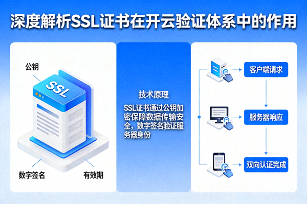 深度解析SSL证书在开云验证体系中的作用
