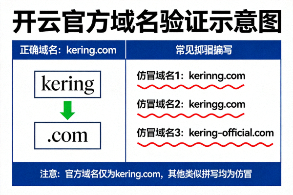 开云官方域名验证示意图，展示正确域名结构与常见仿冒拼写对比