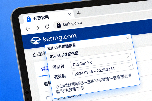 开云官网SSL证书详细信息截图，指示如何查看证书颁发者与有效期