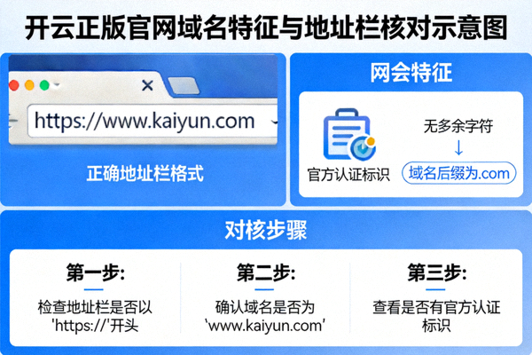 开云正版官网域名特征与地址栏核对示意图