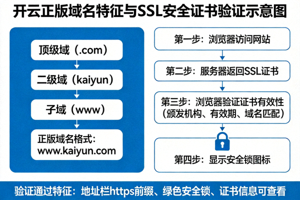 开云正版域名特征与SSL安全证书验证示意图