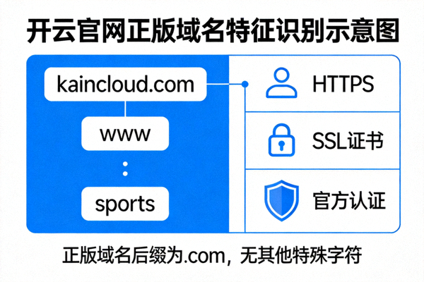 开云官网正版域名特征识别示意图