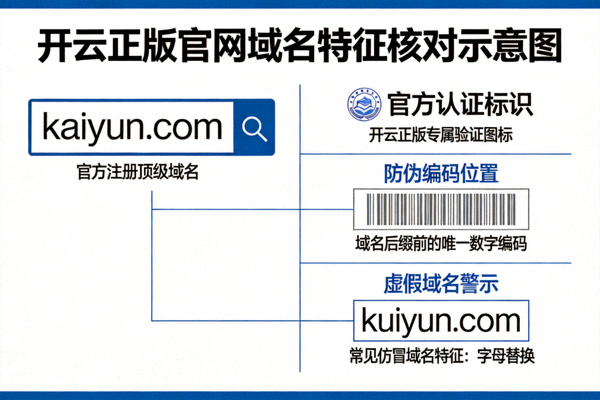 开云正版官网域名特征核对示意图