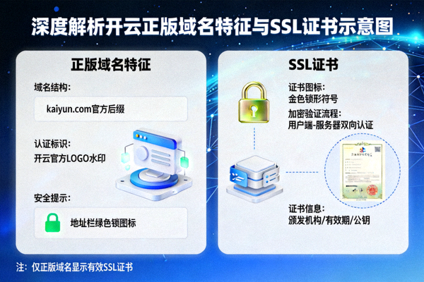 深度解析开云正版域名特征与SSL证书示意图